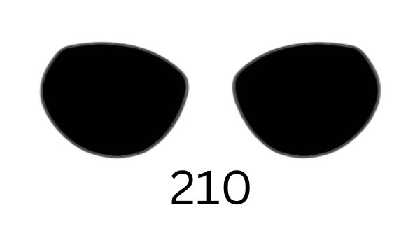 Round 210 Solid Sunglasses