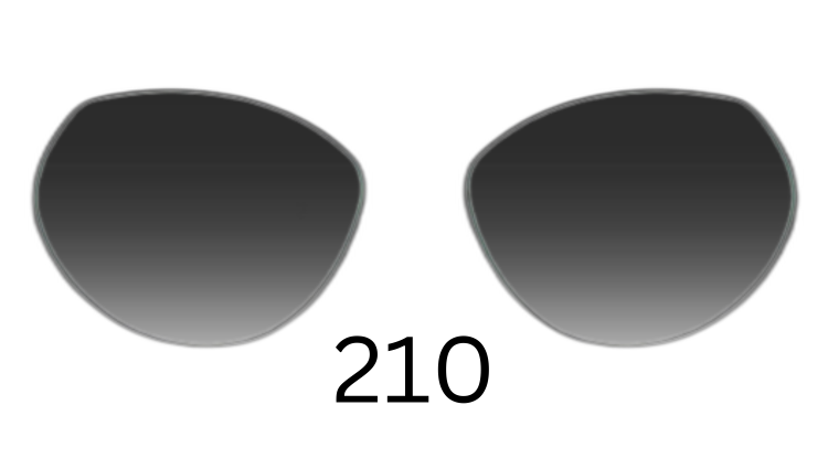 Round 210 Gradient Sunglasses