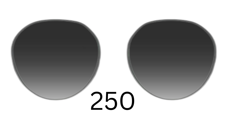 Round 250 Gradient Sunglasses