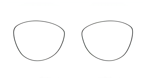 Shape 260