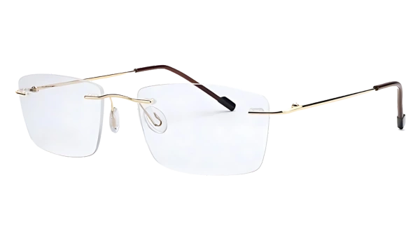 Original B2B Titanium Gold detail