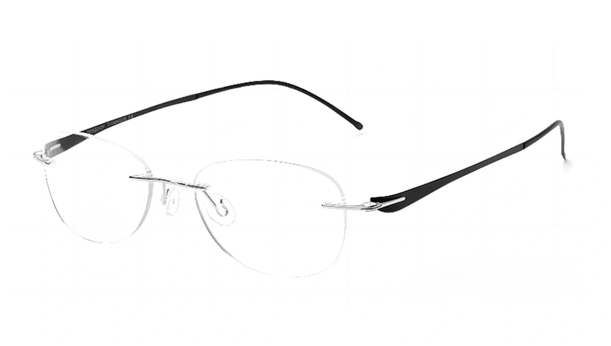 Original Titanium Elite 5003 Black frame photograph